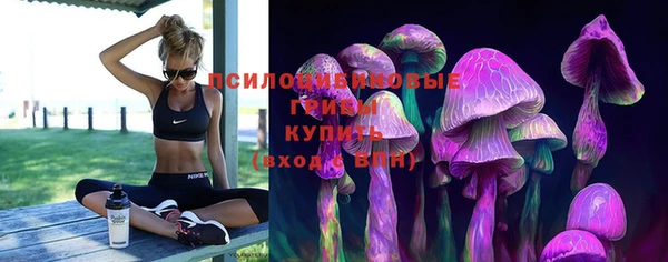 винт Алексеевка