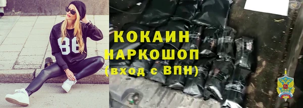 кокс Алексин
