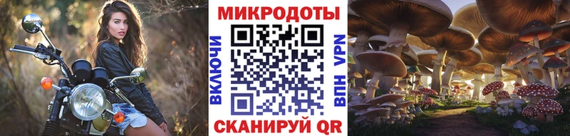 blacksprut вход Октябрьский Галлюциногенные грибы Cubensis